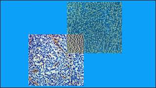 Full C6C0BE133737D05B9FBC8564CA3E28#1 SOURCE MASTER 1 9 Guide