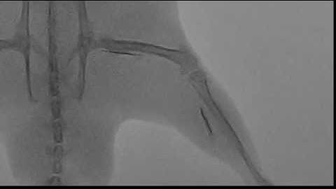 TaOx/SiO2 core/shell nanoparticle glue