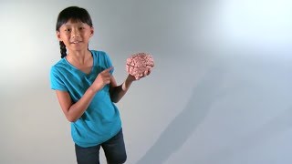 Kidz Explain -- EPISODE 2 'What are the signs of a stroke?'