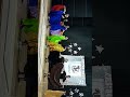 VALS GPO ADULTOS