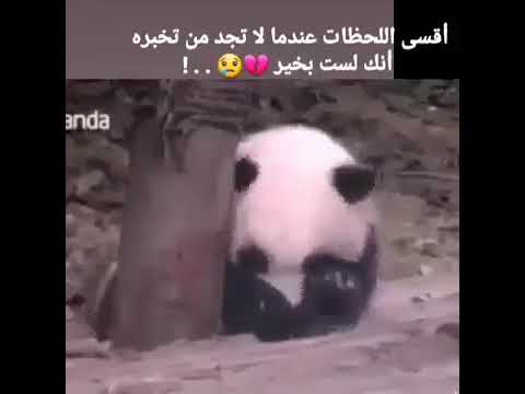 اقسى اللحضات عندما لاتجد من تخبر انك لست بخير