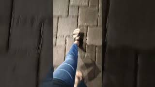 Download Lagu Rinio mas tak omngi 😁😬🔥🔥🔥 MP3