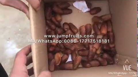Jujube Processing Machine Date Pitting Machine Olive Pitting Machine By Shanghai Jumpfruits