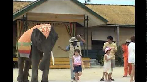 My 5 year-old-daughte...  dancing with elephant in...