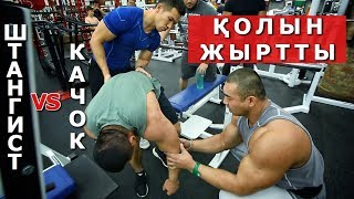 КАЧОК VS ШТАНГИСТ. ҚОЛЫН ЖЫРТТЫ