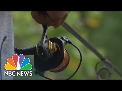 Florida Child Hospitalized After Being Stabbed In Chest By Catfish