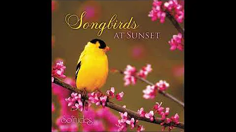 Songbirds at Sunset - Dan Gibson & Charles T. Cozens