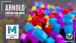 How to Do Arnold Lighting and Rendering in Maya | For Beginners