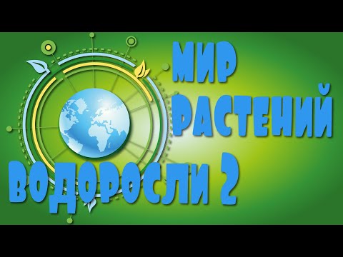 ВОДОРОСЛИ/2. Мир растений для детей. Низшие растения.