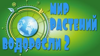 Водоросли/2. Мир Растений Для Детей. Низшие Растения.