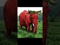 elefante de fresa