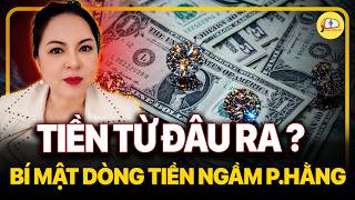 Where Does Ms Phuong Hang s Money Come From The Secret Behind Her Massive Hidden Cash Flow