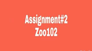 Zoo102 Assignment #2 idea solution