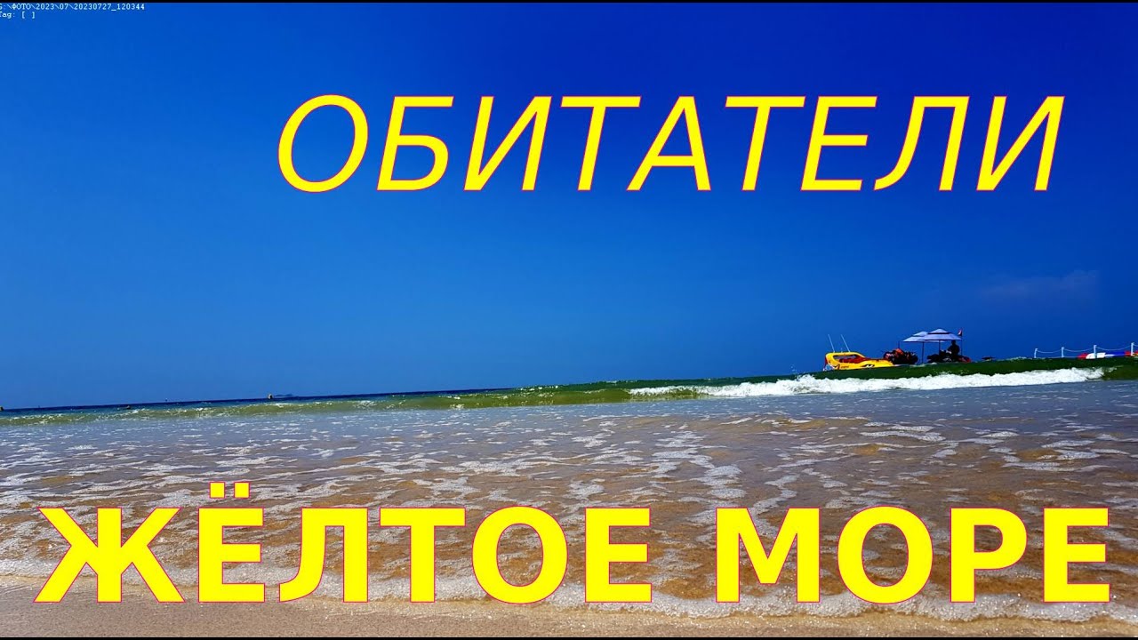 Жёлтое море. Корея.The Yellow Sea. Korea