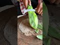 Cactus Peeling Process #shorts #food #preparation