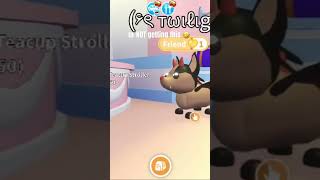 heh #capcut #blowup #adoptme #batdragon #roblox #rblx #rbx #funny #lol #adoptmepets #adoptmeroblox