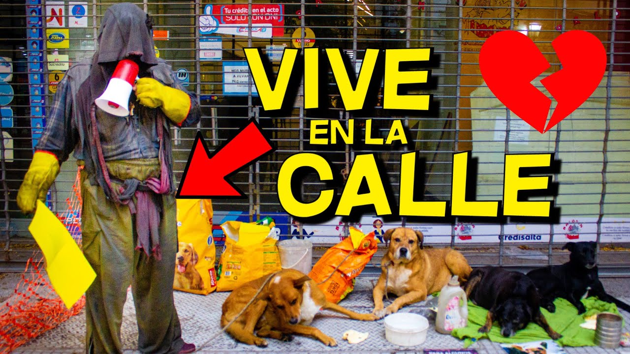 Un día con ABDUL, protector de PERROS CALLEJEROS | 