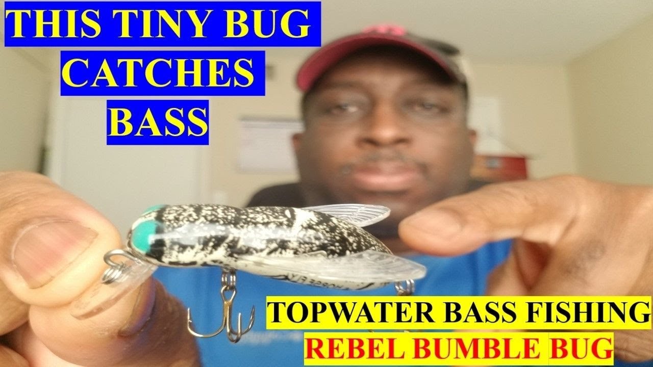 Bass Fishing Tiny Topwater Lure Rebel Bumble Bug for Big Bass