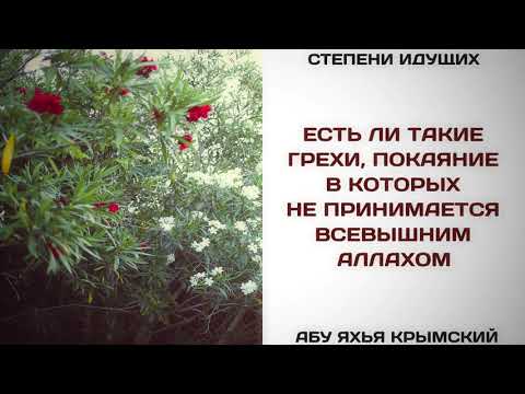 186. Есть ли такие грехи, покаяние в которых не принимается Всевышним Аллахом || Абу Яхья Крымский