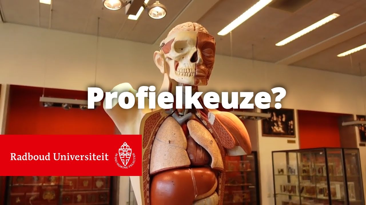 Tips voor het maken van een profielkeuze in 3 vwo