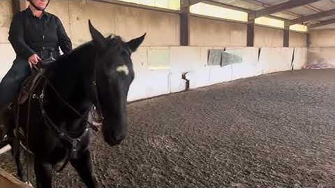 Entry  6224  INT4-A - Introductory Level, Test 4 - Amateur