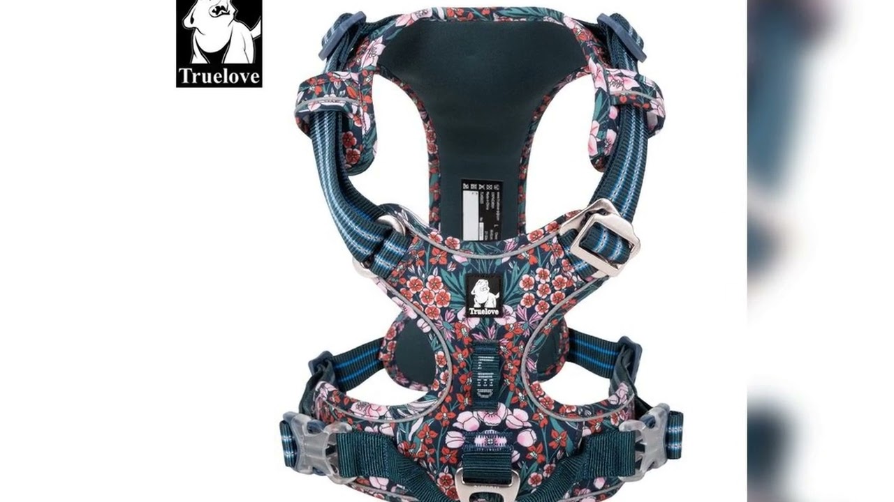 A must-have product! Truelove Pet Harness Small Medium Large Split Dog Fashion Outdoor Dropshippin
