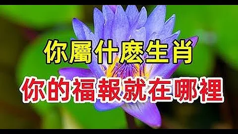 你屬什麼生肖，你的福報就在哪，屬鼠人聰明勤快福報財運旺 | 生肖命理 - 天天要聞