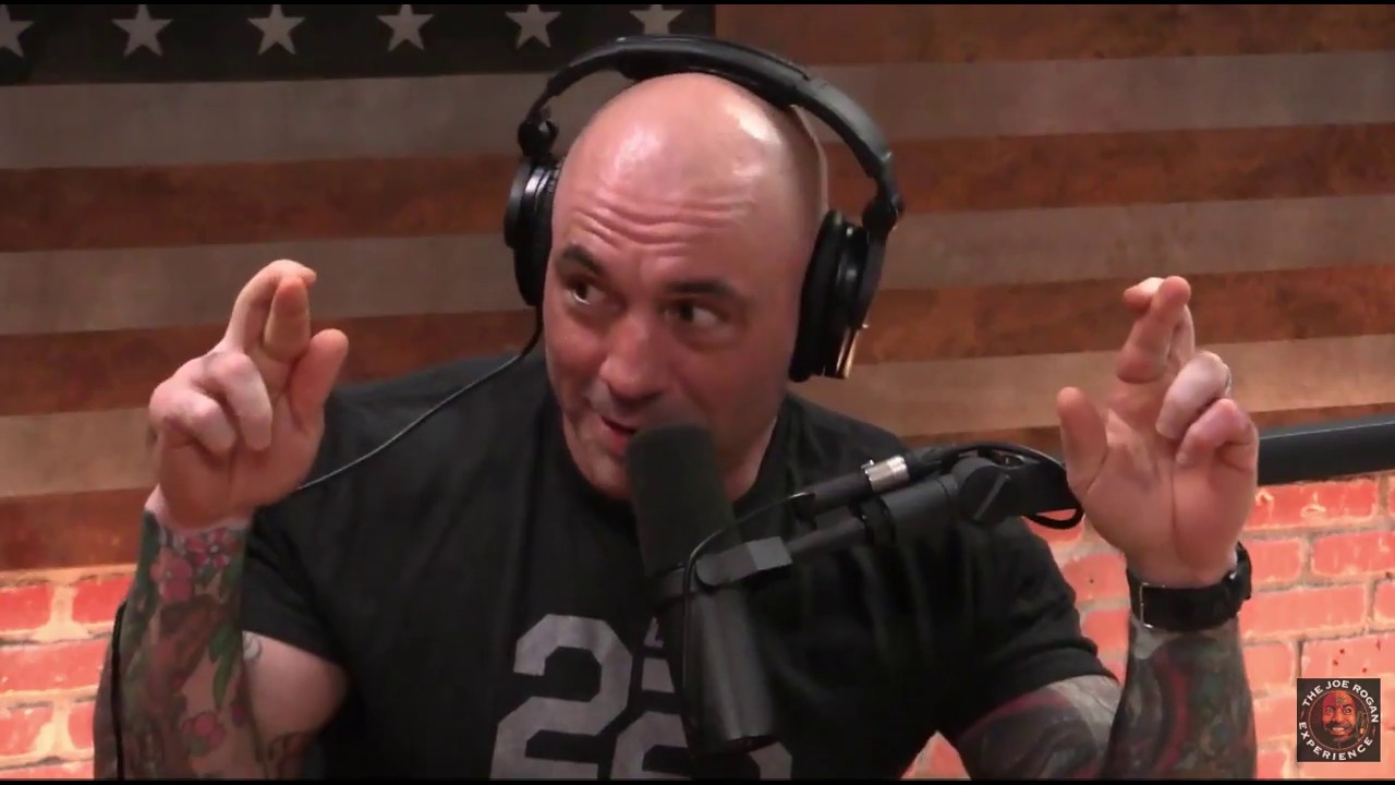 Joe Rogan on being in the Intellectual Dark Web - YouTube