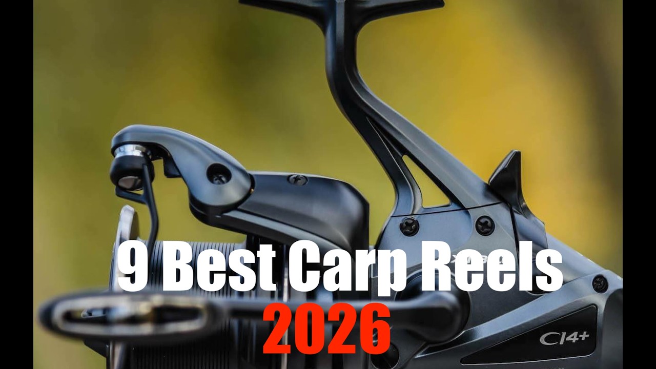 best fishing lures for lake fishing Top 10 Baits from Lake Barkley