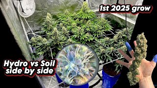 First Grow of 2025 | Hydroponic AND Soil Garden
