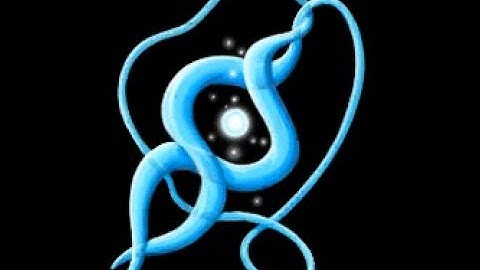 Break the Curse Quest - Patrice 5 ❤️ Quest - The Witch of Fern Island