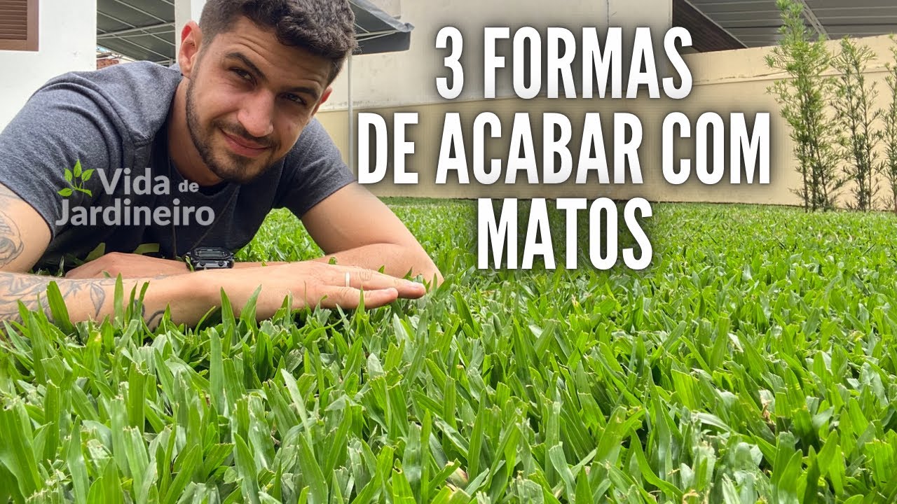 Como acabar com matos na grama (AS 3 TÉCNICAS QUE REALMENTE FUNCIONAM ...