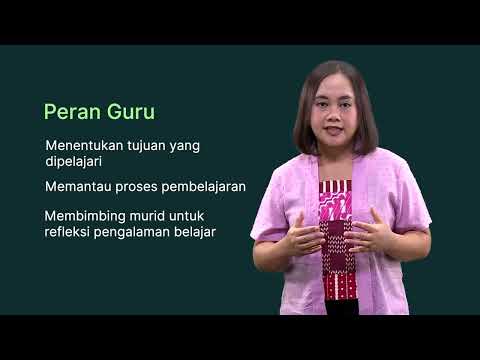 Video: 3 Perilaku Asas Anda Harus Mengajar Dachshund Anda