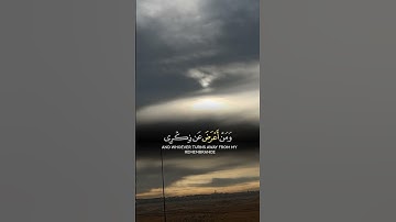 آيات القرآن الكريم #قران_كريم #قصص #المدينة_المنورة #المنشاوي #تلاوة_خاشعة #الشيخ_ماهر_المعيقلي