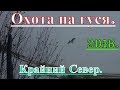 ОХОТА НА ГУСЯ 2018 ч 2 ОХОТА НА ГУСЯ 2018 ч 2
