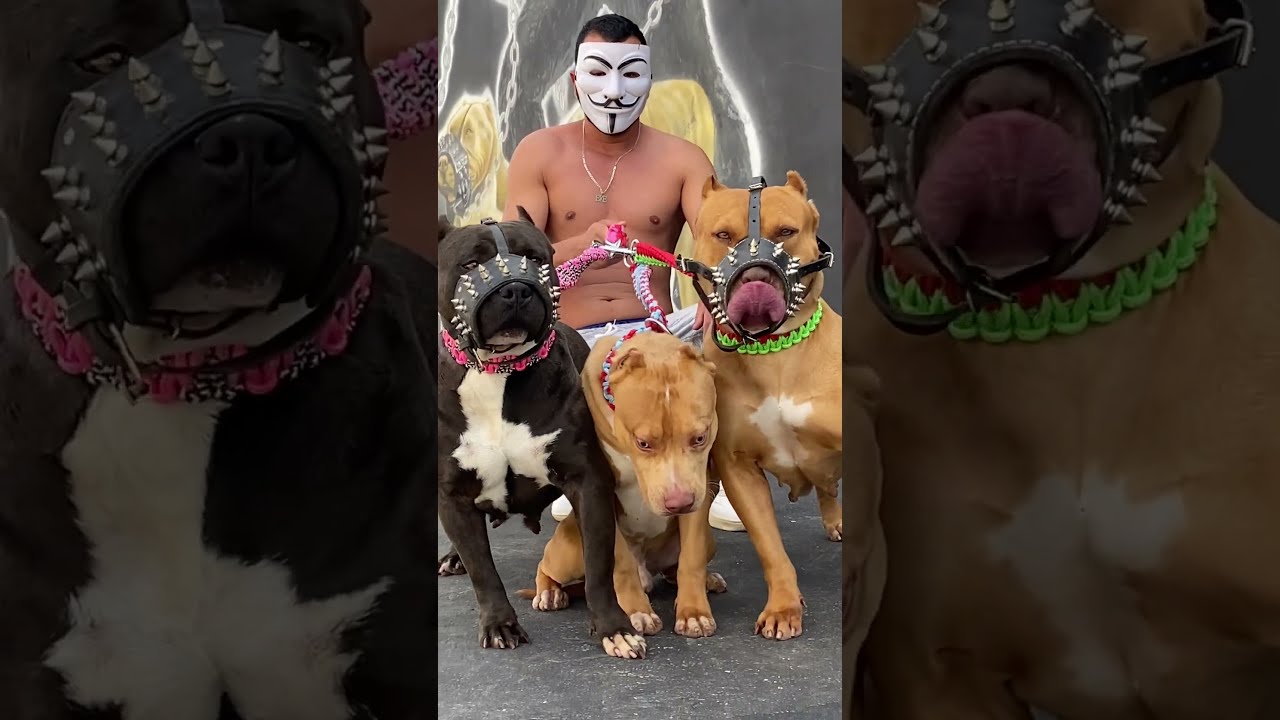 Ninguém passa na rua hoje