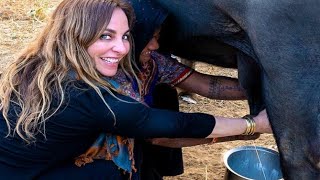 Cow milking by hand | village life | viral Punjabi