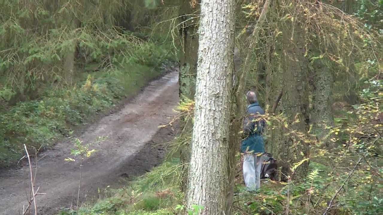 Derek McGeehan Mini JCW WRC