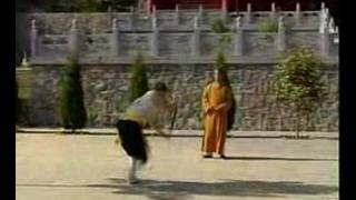 Shaolin Pudao