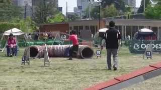 2014 04 27 OPDES Japan GP Kana Semi-Final