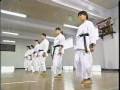 Tsuyama Karate pt. 5: Kicking Techniques