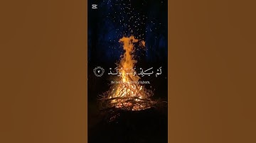 سورة الاخلاص#اكسبلور #اكسبلور #دويتو #duet #القران #سورةالاخلاص