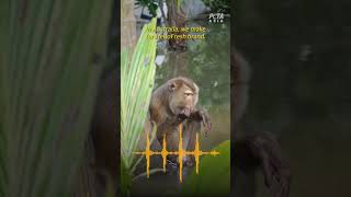 HelloFresh Caught Feeding Lies to Its Customers #shortsyoutube