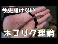 【ネコリグ講座】シンカーの刺し方だけでも気を付けるとよろしい【初心者向】