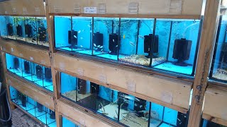 I went to a fish market in Recife, PE 🐟🐠 I went to a fish market in Recife, PE 🐟🐠