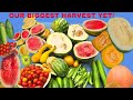 "Our Biggest Family Harvest Yet!" 