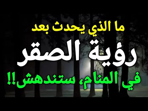 تفسير رؤية الصقر في المنام الصقر في الحلم يدل علي رسالة خاصة بك تعرف عليها