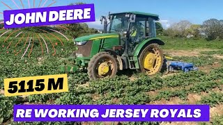 🌱From Field to Plate-Episode 6-How our Jersey Royal potatoes grow, planting through to harvest. 🥔