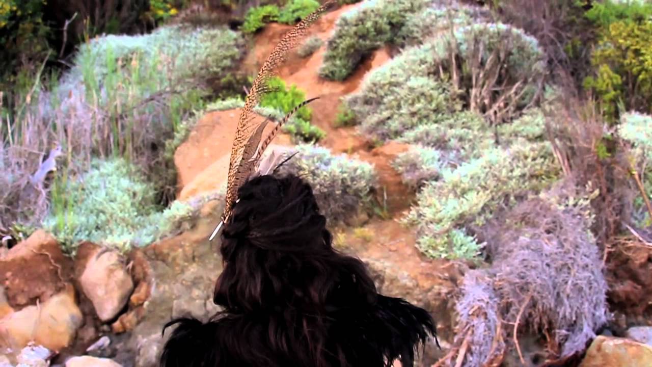 BESTIAL MOUTHS -- Gulls Official Music Video