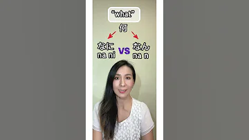 なにvsなん What In Japanese NANI NAN Shorts 